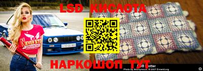 прущие грибы Коммунар