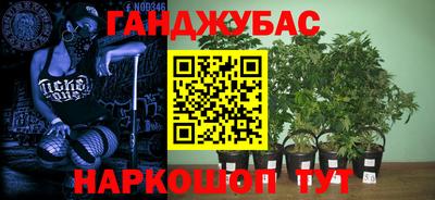 крисы Комсомольск-на-Амуре
