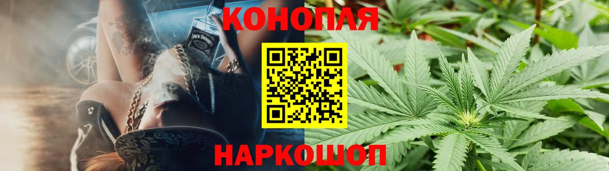 Каннабис White Widow Кизляр